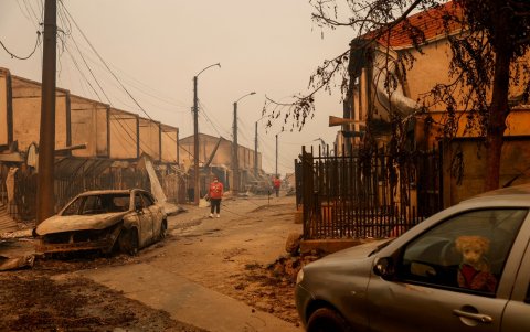 Un perro permanece dentro de un automóvil mientras los residentes caminan junto a los restos carbonizados de casas y vehículos destruidos después de un incendio forestal en Concepción.