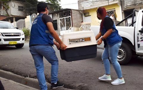 Personal de Proanimal investigó la alerta ciudadana por el supuesto maltrato y tortura de perros en Isla Santay, también en enero pasado.