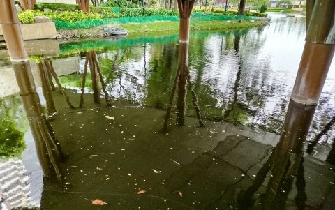 La laguna artificial del Malecón 2000, el martes 20 de enero del 2026.