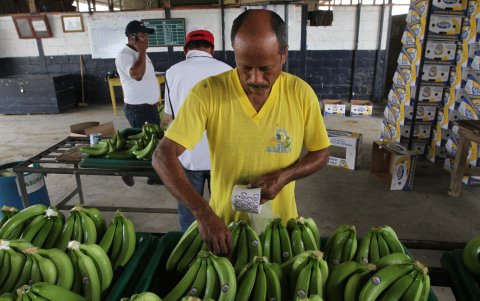 El principal obstáculo identificado por las autoridades es la presencia de miembros de la facción criminal.