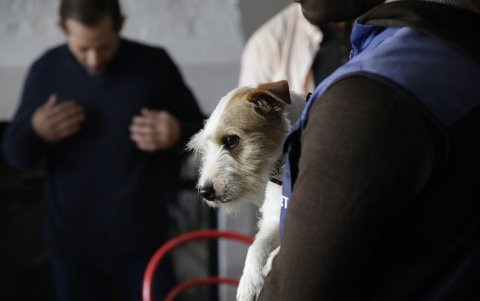 El filme se produjo a lo largo de ocho años. En 2025 recorrió festivales internacionales.