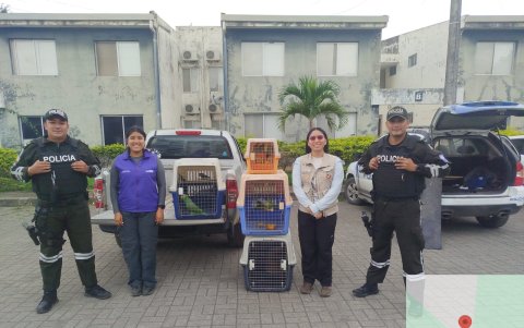 Policía junto a las aves rescatadas.