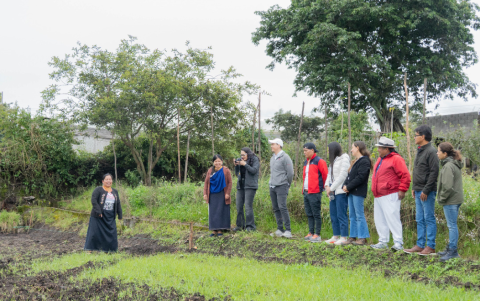 Mujeres indígenas de Cotacachi comparten saberes ancestrales y técnicas agroecológicas en sus chakras, como parte de un proyecto que busca reducir el uso de agroquímicos.