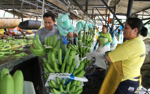 El punto de quiebre llegó en mayo de 2013, cuando el SRI embargó el predio por una deuda tributaria de alrededor de $90 millones.