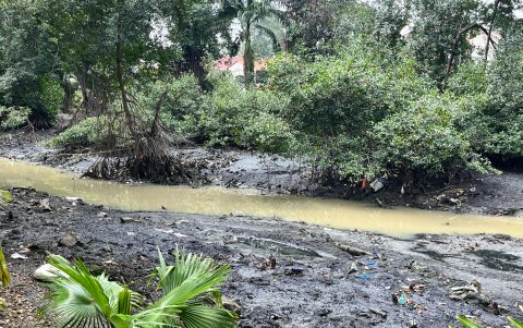 Recuperación del estero Salado, en el ramal de ECOTEC