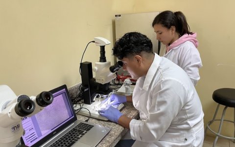 Todas las muestras analizadas presentaron microplásticos, sin importar su origen o marca, lo que evidencia una exposición constante de la población a estos contaminantes