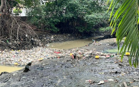 La red que contiene los desechos sólidos de la corriente del Salado se colapsa a metros de la Universidad