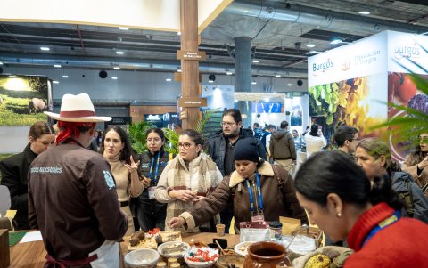 Stand de Guayas y Manabí
