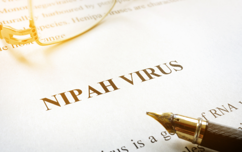 Prevención del virus Nipah incluye higiene, evitar contacto con animales infectados y consumo seguro de frutas.