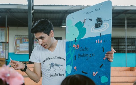 Niños y docentes participan en jornadas interactivas que enseñan a identificar criaderos y comprender el funcionamiento de la Técnica del Insecto Estéril.