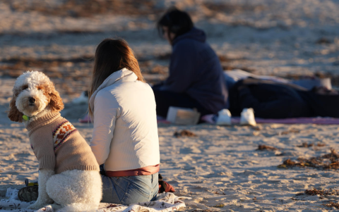 Un amanecer gélido sorprendió a Miami, con temperaturas de apenas 2°C tras la ola de frío polar.