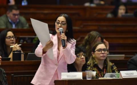 Viviana Veloz durante su intervención en el juicio político a Mario Godoy.