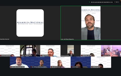 Sesión virtual de la Comisión de Salud donde se debatieron observaciones al proyecto de ley sobre eutanasia.