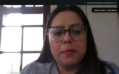 Cecilia Medina, subsecretaria de Derechos Humanos, expuso riesgos de explotación reproductiva en la Comisión de Salud.