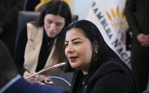 Yuri Colorad, presidenta de la AME, compareció en la Comisión de Desarrollo Económico.