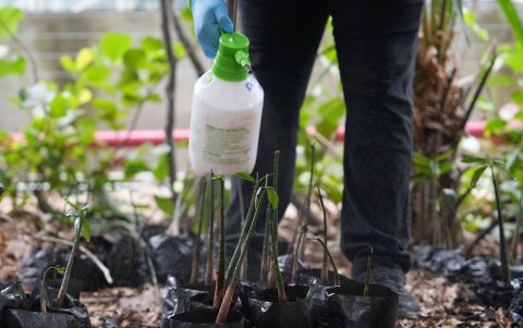 Estudiantes participan en muestreos, limpieza y restauración, convirtiendo el ecosistema en un aula viva de aprendizaje.
