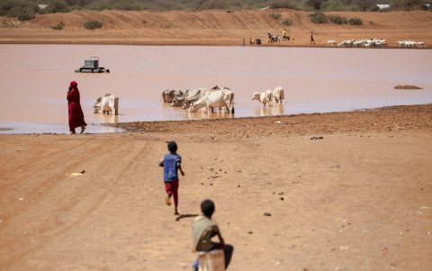En el noreste de Kenia afectado por la sequía, los aldeanos arrastran su ganado muerto a campos distantes para quemarlo y así mantener el hedor de la muerte lejos de sus hogares.