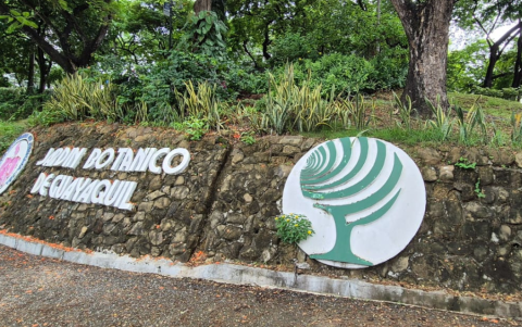 El Jardín Botánico tiene espacios para realizar picnics y disfrutar de la naturaleza.