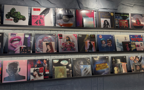 La primera vista del local recoge títulos clásicos , contemporáneos, ediciones especiales y vinilos de 7