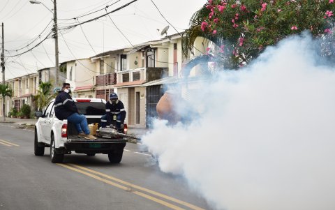 El Municipio ha tomado acciones ante el aumento del dengue.