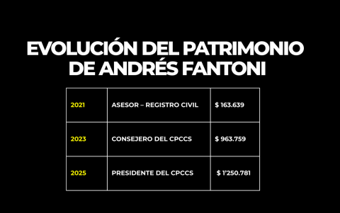 Evolución del patrimonio de Fantoni.