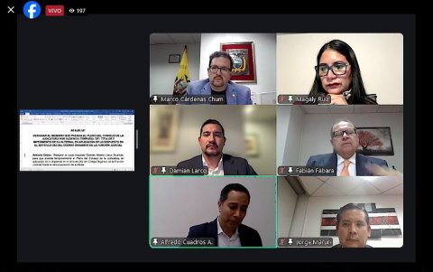 La sesión del Consejo de la Judicatura fue en modalidad virtual.