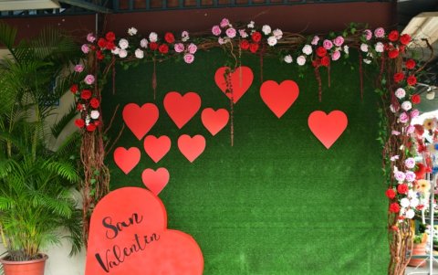 En el sitio hay un espacio especial para fotos.