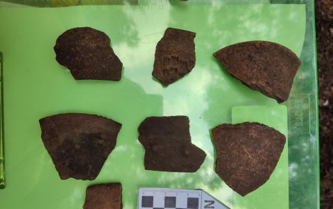 El descubrimiento impulsa la protección del patrimonio y propone convertir el campus en un aula viva de historia y ciencia.