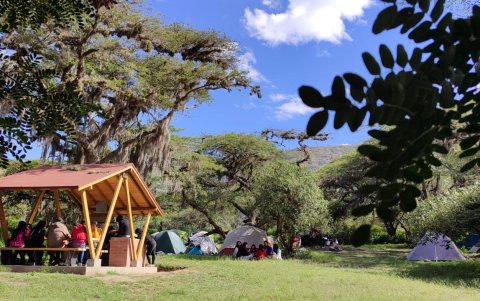 En el bosque seco de Jerusalem se puede acampar.