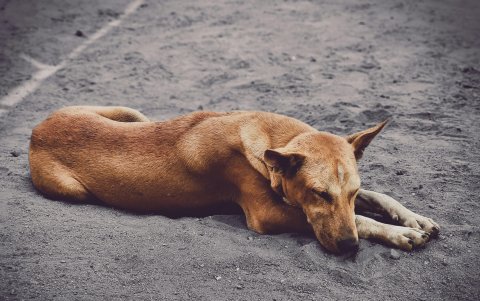 Entre sus metas para el 2026, está seguir creciendo su academia digital.