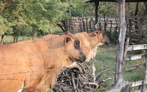 Los proyectos evidenciaron el valor del trabajo multidisciplinario entre estudiantes de salud, negocios, tecnología e ingeniería.