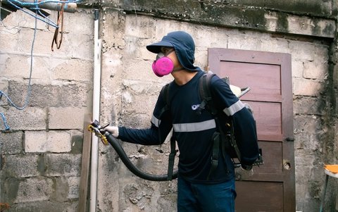 La Dirección municipal de Salud e Higiene realiza la fumigación, dentro y fuera de las casas, contra el dengue en diversos sectores de Guayaquil.