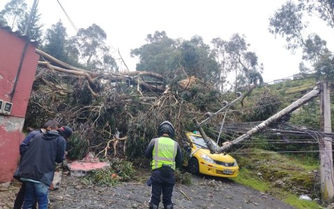Taxi quedó atrapado entre ramas y cables eléctricos en Conocoto.