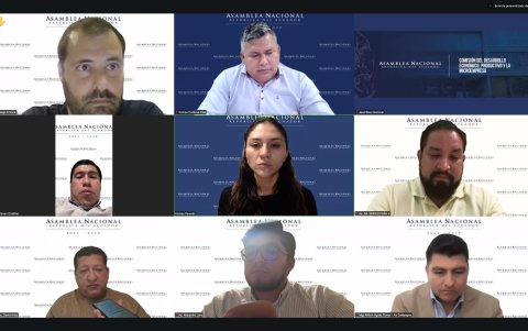 Con ocho votos a favor pasa el informe para el segundo debate del Proyecto de Ley Orgánica para el Fortalecimiento de los Sectores Estratégicos de Minería y Energía.