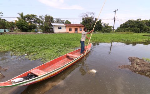 En La Palma se debe ingresar con canoa debido al alto nivel del agua.
