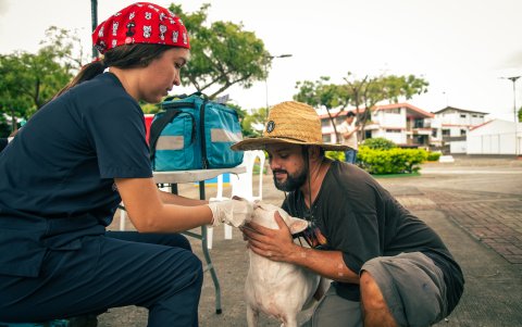 Las mascotas también recibieron atención veterinaria.