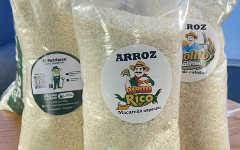 El emprendimiento diversifica su portafolio con marcas como Papito Rico y Cholito, orientadas a distintos segmentos del mercado.