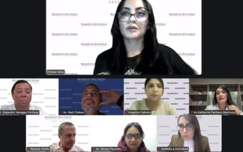 Sesión Nº 67 de la Comisión de la Niñez durante el debate sobre redes sociales a menores de 15 años.