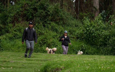 Deportistas sienten inseguridad en el parque Metropolitano, por robos, falta de iluminación y escasa vigilancia policial.
