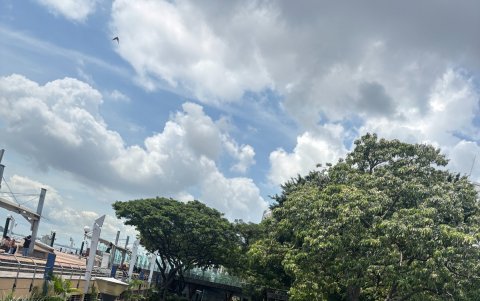 Mantenimiento en el Malecón 2000.