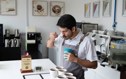 La competencia de cata se trata de velocidad y precisión