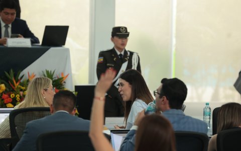 En un comunicado difundido el 20 de febrero, la Bancada de la Revolución Ciudadana calificó la ley como “abiertamente inconstitucional”.