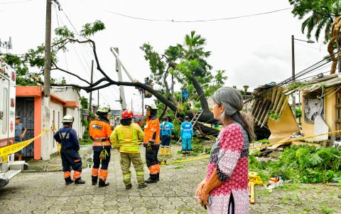 Jenny Escalante contempló preocupada el trabajo de los bomberos para retirar el árbol que dañó su casa, en La Alborada.