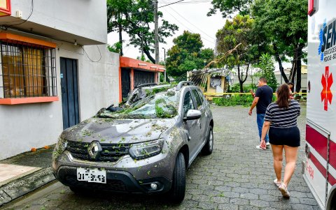 Este vehículo fue uno de los dos que resultaron dañados por la caída del árbol en La Alborada, norte de Guayaquil.
