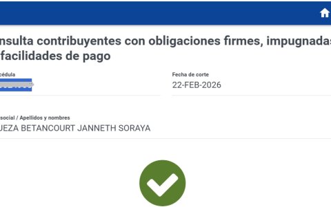 Pantallazo del SRI donde reporta que Janneth Soraya Vinueza Betancourt no tiene una deuda con la administración tributaria.