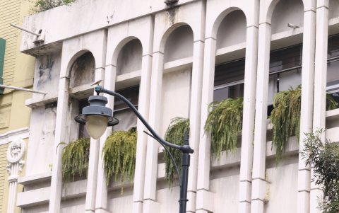 La ciudadanía gusta de decorar sus jardines y balcones con diferentes especies.