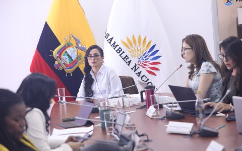 Viviana Veloz, asambleísta de la RC, preside la mesa de Niñez de la Asamblea.