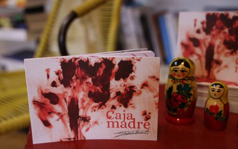 La obra se presentó recientemente en la capital, en la librería Casiopea.