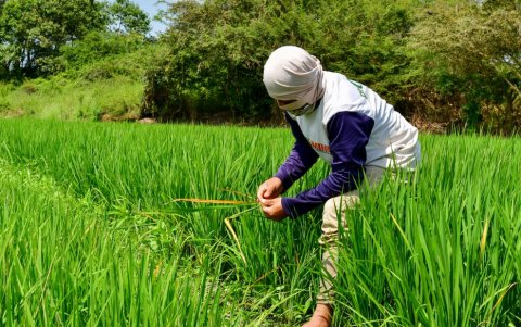 El primer juego de la saga, Super Smash Bros. (Smash 64), fue lanzado el 21 de enero de 1999.