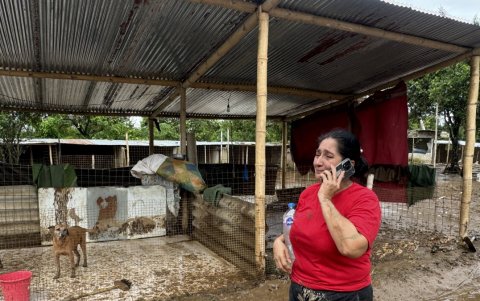 Mayra Santos recorre el terreno afectado mientras busca a los perros desaparecidos durante la inundación.